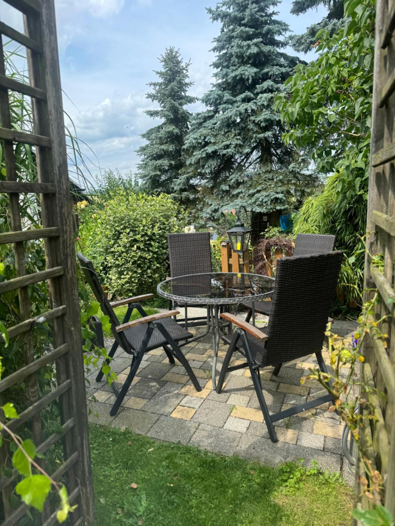 Ferienwohnung Hinterhermsdorf Glaser 세브니츠 외부 사진